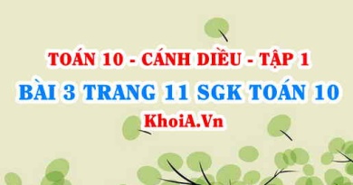 Bài 3 trang 11 SGK Toán 10 tập 1 Cánh Diều